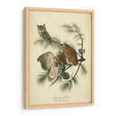 Audubon Screech Owl - John James Audubon | Cuadro decorativo de Canvas Lab