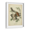 Audubon Screech Owl - John James Audubon | Cuadro decorativo de Canvas Lab