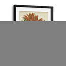 Botánicos Twining Iii - Elizabeth Twining | Cuadro decorativo de Canvas Lab