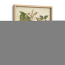 Botanics Twining Vi - Elizabeth Twining | Cuadro decorativo de Canvas Lab