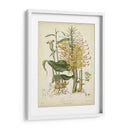 Botanics Twining Vii - Elizabeth Twining | Cuadro decorativo de Canvas Lab