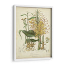 Botanics Twining Vii - Elizabeth Twining | Cuadro decorativo de Canvas Lab