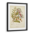 Botánicos Twining Viii - Elizabeth Twining | Cuadro decorativo de Canvas Lab