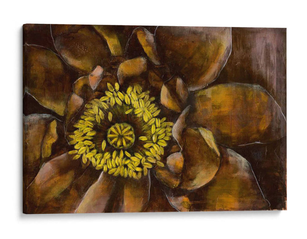 Ilusión Floral I - Jennifer Goldberger | Cuadro decorativo de Canvas Lab