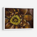 Ilusión Floral I - Jennifer Goldberger | Cuadro decorativo de Canvas Lab