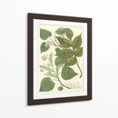 Weinmann Greenery Iii - Weinmann | Cuadro decorativo de Canvas Lab
