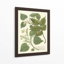 Weinmann Greenery Iii - Weinmann | Cuadro decorativo de Canvas Lab
