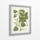 Weinmann Greenery Iii - Weinmann | Cuadro decorativo de Canvas Lab