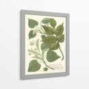Weinmann Greenery Iii - Weinmann | Cuadro decorativo de Canvas Lab