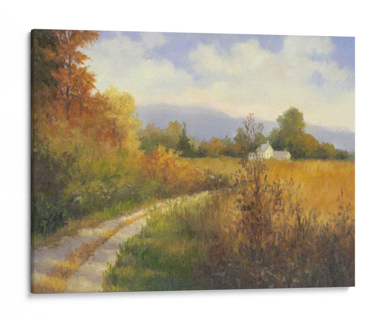 Carretera Nacional De Otoño - Mary Jean Weber | Cuadro decorativo de Canvas Lab