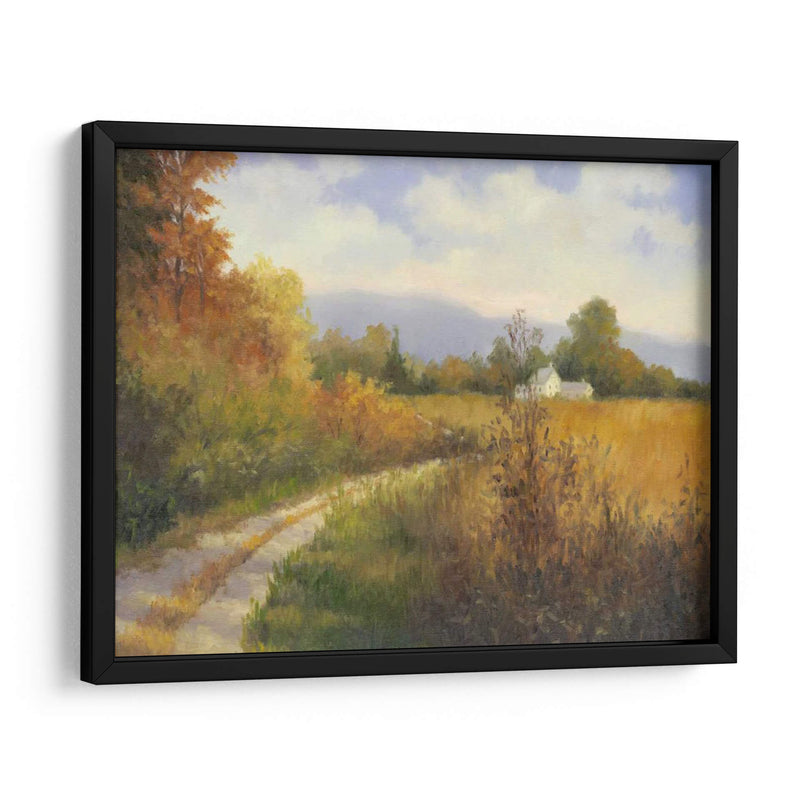 Carretera Nacional De Otoño - Mary Jean Weber | Cuadro decorativo de Canvas Lab