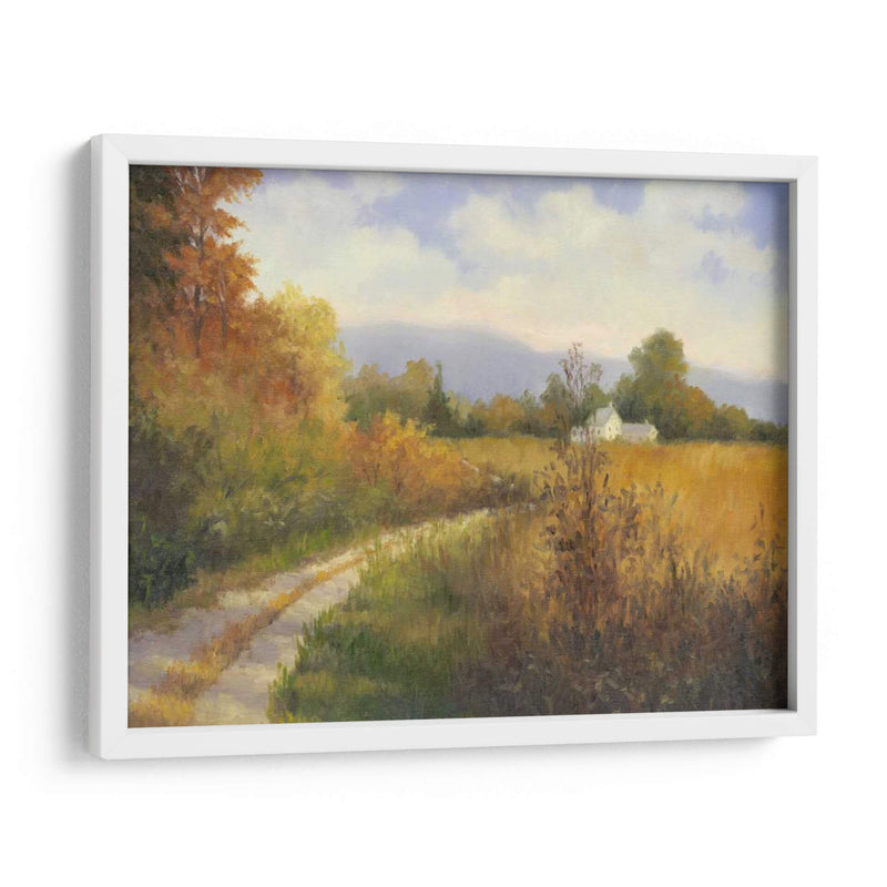 Carretera Nacional De Otoño - Mary Jean Weber | Cuadro decorativo de Canvas Lab