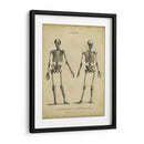 Estudio De Anatomía I - Wilkes | Cuadro decorativo de Canvas Lab