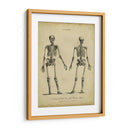 Estudio De Anatomía I - Wilkes | Cuadro decorativo de Canvas Lab