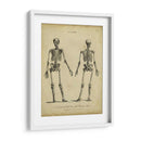 Estudio De Anatomía I - Wilkes | Cuadro decorativo de Canvas Lab