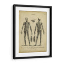 Estudio De Anatomía Ii - Wilkes | Cuadro decorativo de Canvas Lab