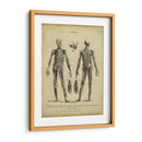 Estudio De Anatomía Ii - Wilkes | Cuadro decorativo de Canvas Lab