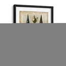 Conchas Antiquarias Ii - Vision Studio | Cuadro decorativo de Canvas Lab