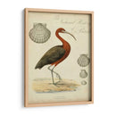 Heron Anthology Ii - Vision Studio | Cuadro decorativo de Canvas Lab