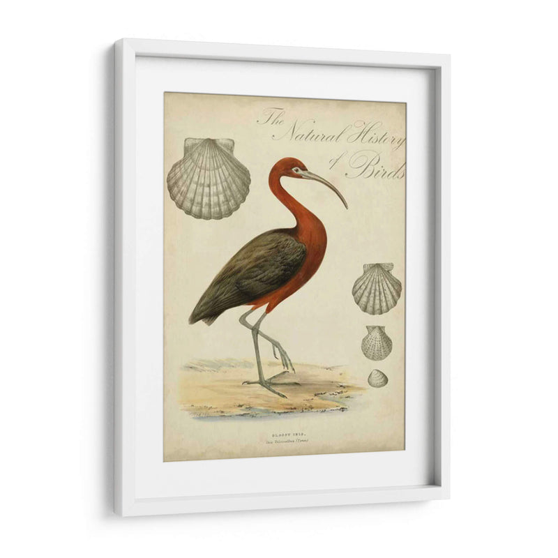 Heron Anthology Ii - Vision Studio | Cuadro decorativo de Canvas Lab