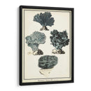 Especies De Coral I - Vision Studio | Cuadro decorativo de Canvas Lab