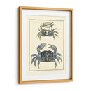 Cangrejos Azules Antiguos Ii - Vision Studio | Cuadro decorativo de Canvas Lab