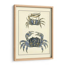 Cangrejos Azules Antiguos Ii - Vision Studio | Cuadro decorativo de Canvas Lab