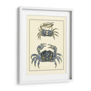 Cangrejos Azules Antiguos Ii - Vision Studio | Cuadro decorativo de Canvas Lab