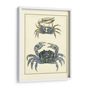 Cangrejos Azules Antiguos Ii - Vision Studio | Cuadro decorativo de Canvas Lab