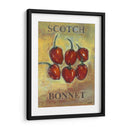 Bonnet Escocés - Norman Wyatt Jr. | Cuadro decorativo de Canvas Lab