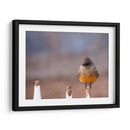 Pajarito 1 - Alvaro Martinz | Cuadro decorativo de Canvas Lab