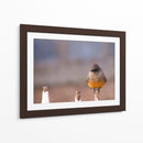 Pajarito 1 - Alvaro Martinz | Cuadro decorativo de Canvas Lab