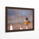 Pajarito 1 - Alvaro Martinz | Cuadro decorativo de Canvas Lab