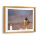 Pajarito 1 - Alvaro Martinz | Cuadro decorativo de Canvas Lab