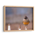 Pajarito 1 - Alvaro Martinz | Cuadro decorativo de Canvas Lab