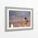 Pajarito 1 - Alvaro Martinz | Cuadro decorativo de Canvas Lab