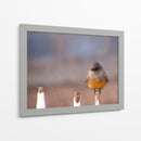 Pajarito 1 - Alvaro Martinz | Cuadro decorativo de Canvas Lab