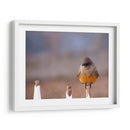 Pajarito 1 - Alvaro Martinz | Cuadro decorativo de Canvas Lab