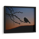 Pajarito 2 - Alvaro Martinz | Cuadro decorativo de Canvas Lab