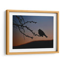 Pajarito 2 - Alvaro Martinz | Cuadro decorativo de Canvas Lab