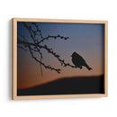 Pajarito 2 - Alvaro Martinz | Cuadro decorativo de Canvas Lab