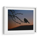 Pajarito 2 - Alvaro Martinz | Cuadro decorativo de Canvas Lab