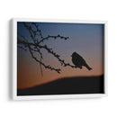 Pajarito 2 - Alvaro Martinz | Cuadro decorativo de Canvas Lab