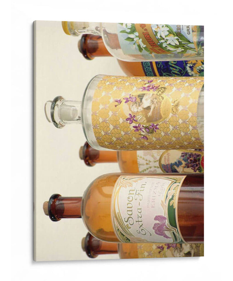 Botellas De Perfume Francés Ii - Madelaine Gray | Cuadro decorativo de Canvas Lab