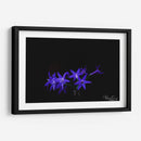 Florecita azul - Alvaro Martinz | Cuadro decorativo de Canvas Lab