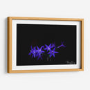 Florecita azul - Alvaro Martinz | Cuadro decorativo de Canvas Lab