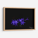 Florecita azul - Alvaro Martinz | Cuadro decorativo de Canvas Lab