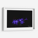 Florecita azul - Alvaro Martinz | Cuadro decorativo de Canvas Lab