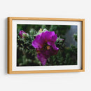 Cactus 1 - Alvaro Martinz | Cuadro decorativo de Canvas Lab