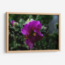 Cactus 1 - Alvaro Martinz | Cuadro decorativo de Canvas Lab